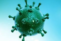 新冠病毒肺炎疫情法律实务专题