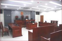 仲裁案件在申请执行过程之中，可追加未出资股东为被执行人