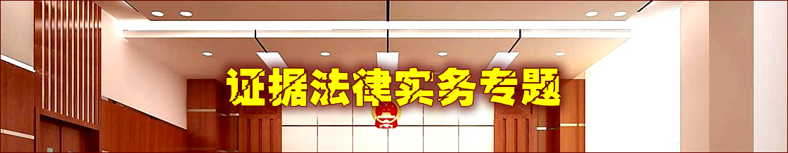证据法律实务专题