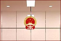 证据法律实务专题